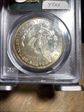 1887 $1 MS64