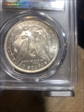 1889 $1 MS62