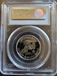 1999-P SBA$1 PR69DCAM
