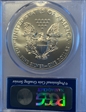 2013-(W) $1 Silver Eagle Struck at West Point MS70