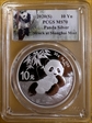 2020(S) 10 Yn Panda Silver Struck at Shanghai Mint MS70