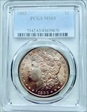 1883 $1 MS63