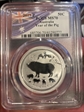2019-P 50C Year of the Pig 1/2oz Ag MS70