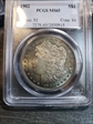 1902 $1 MS65
