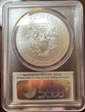 2015 $1 Silver Eagle First Strike MS70