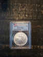 2007-W $1 Burnished Silver Eagle First Strike SP69