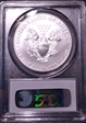 2011-W $1 Burnished Silver Eagle SP69