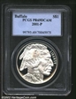2001-P $1 Buffalo PR69DCAM