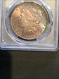 1886 $1 MS64