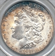1889 $1 MS65