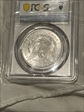 1884-CC $1 MS64
