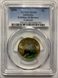 2008 $1 Echidna Al-Bronze Colorized MS68