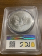 2019 $1 Silver Eagle MS70
