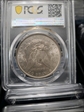 1882 $1 MS66