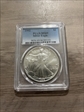 1992 $1 Silver Eagle MS69