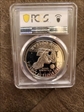 1971-S $1 Silver PR69DCAM