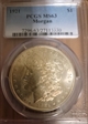 1921 $1 Morgan MS63
