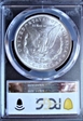 1990 $1 Silver Eagle MS70