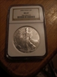 2005 $1 Silver Eagle ms69