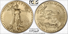 2006-W $50 Burnished Gold Eagle 20th Anniversary SP69