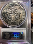 1987 $1 Silver Eagle MS67