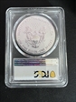 2019-W $1 Silver Eagle Enhanced Rev PR Pride of Two Nations, U.S. Set FDI PR70