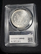 1878 8TF $1 MS63