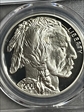 2001-P $1 Buffalo PR70DCAM