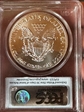 2011 $1 Eagle-25th Anniversary First Strike MS70