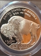 2001-P $1 Buffalo PR70DCAM