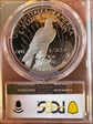 2024-S $1 Peace Dollar First Strike PR70DCAM