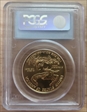 2006-W $50 Burnished Gold Eagle SP69