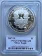 2007-W $1 Silver Eagle PR69DCAM