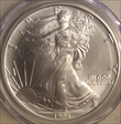 1995 $1 Silver Eagle MS69