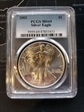 2002 $1 Silver Eagle MS69