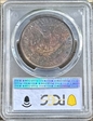 1900-O $1 MS61