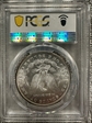 1884 $1 MS64