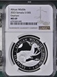 2023 100 S African Elephant RE Ag MS-69