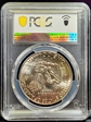 1973-S $1 Silver MS66