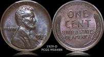 1929-D 1C MS64BN