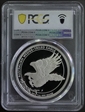 2014-P $1 Wedge-Tailed Eagle PR70DCAM