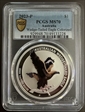 2023-P $1 Wedge-Tailed Eagle Colorized MS70