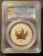 2023 $20 Maple Leaf - High Relief Reverse PR Gilt Ag PR70