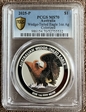 2025-P $1 Wedge-Tailed Eagle 1oz Ag Colorized MS70