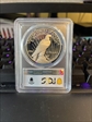 2024-S $1 Peace Dollar First Strike PR70DCAM