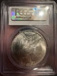 1923 $1 MS63