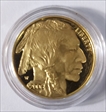 2006 W $50 BUFFALO PROOF