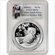 2020(G) 10 Yn Panda Silver Struck at Shenzhen Mint MS70
