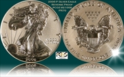 2006-P $1 Eagle-20th Anniversary Reverse Proof PR70