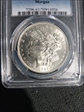 1921 $1 Morgan MS61